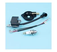 Kit de Coupe-Circuit d'huile for Bobine d'allumage, Compatible avec Les tronçonneuses 235, 240, 235E et 240E (références: 581063901, 545-06-93-01)