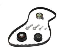 Kit de courroie crantée INA 530 0443 10 pour VIVA 1.8 2003-2008