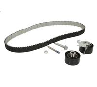 Kit de courroie crantée INA 530 0489 10 pour FORD S-MAX (WA6) 2.2 2008-2012