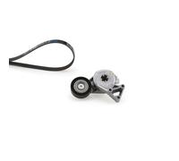 Gates Jeu de courroies trapézoïdales à nervures Kit Micro-V K046DPK1195