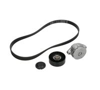 INA Kit de courroie multi-cannelée 529 0102 10 pour VW, SEAT, FORD