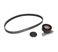 INA Kit de courroies d'accessoire 4014870164775 VOLKSWAGEN UP
