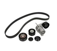 INA Kit de courroie d'accessoire 529 0211 10 multi-cannelée pour BMW F07 F10 F11 F12 F13 F06