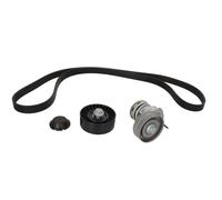 INA Kit de courroie d'accessoire 529 0534 10