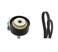 Kit distribution Schaeffler INA 530 0763 10