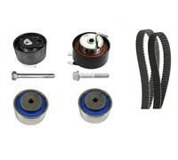 INA Kit de courroie de distribution 530 0767 10 pour Land Rover Discovery III