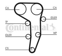 Kit de courroie de distribution CT1051K1 CONTINENTAL CTAM pour AUDI DODGE JEEP