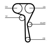 Continental Kit de distribution CONTITECH CT1167K8 – Courroie crantée pour Audi, VW