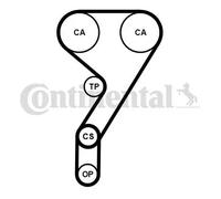 Kit de courroie de distribution CT1189K2PRO CONTINENTAL CTAM pour FORD FOCUS III