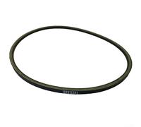 Kit de courroie d'entraînement et de courroie de démarreur - Résistant à l'usure et aux déchirures - Pour chariot de golf - 101916701 1016203 - Compatible avec les modèles précédents (A)