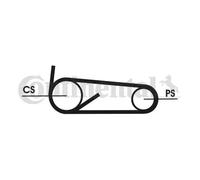 Jeu de courroies trapézoïdales à nervures CONTITECH 4PK922 ELAST T1