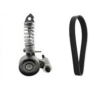 Kit de courroie multi-cannelée 529 0295 10 INA pour OPEL CHEVROLET
