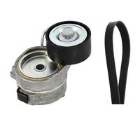 INA Kit de courroie multi-cannelée 529 0419 10 pour Peugeot Citroën Opel DS