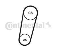 Kit de courroie multi-cannelée 5PK705 ELAST T1 CONTINENTAL CTAM pour VOLVO FORD