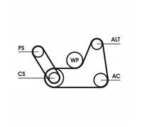 Kit de courroie multi-cannelée 6PK1019 ELAST T1 CONTINENTAL CTAM pour FORD MAZDA