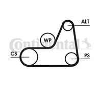 Kit de courroie multi-cannelée 6PK1042 ELAST T1 CONTINENTAL CTAM pour FORD MAZDA