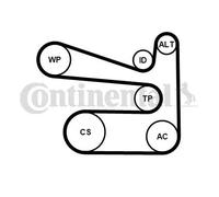 Kit de courroie multi-cannelée 6PK1693K1 CONTINENTAL CTAM pour VW SKODA AUDI