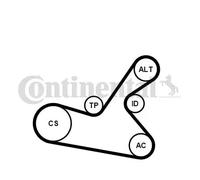 Contitech 6PK1125K1 Kit Courroie Multi V Continental