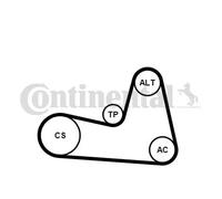 Kit de courroie multi-cannelée Poulie de tension compris 6PK1200K2 pour RENAULT