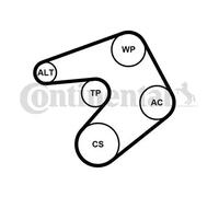CONTITECH 6PK1205K1 Jeu de courroies trapézoïdales à nervures