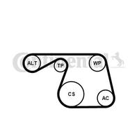 Kit de courroie multi-cannelée Poulie de tension compris 6PK1310K1 pour FIAT