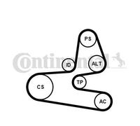 ContiTech Kit courroies d'accessoires 6PK1564K1 Multi‑V