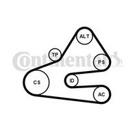 Kit de courroie multi-cannelée Poulie de tension compris 6PK1613K1 pour VW AUDI