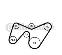 Kit de courroie multi-cannelée Poulie de tension compris 6PK1642K2 pour FORD