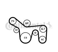 Kit de courroie multi-cannelée Poulie de tension compris 6PK1715K1 pour FORD