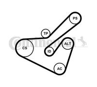 Kit de courroie multi-cannelée Poulie de tension compris 6PK1725K2 pour CITROËN