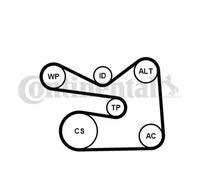 CONTITECH Jeu de courroies trapézoïdales à nervures 6PK1733K3 Poulie de tension compris Poulie de renvoie incl.