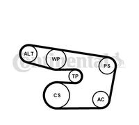 Kit de courroie multi-cannelée Poulie de tension compris 6PK1873K3 pour OPEL