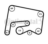 ContiTech Kit courroie accessoires 6PK2155K1 - Jeu de courroies trapézoïdales à nervures