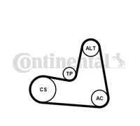 Kit de courroie multi-cannelée Poulie de tension compris 7PK1125K1 pour RENAULT