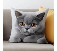 Kit de Coussin au Crochet Point Noué Adultes Chat Gris Chaton Chartreux Mignon Tapis taie d'oreiller enfants débutants DIY aiguille broderie ensemble artisanal canapé décoration maison 43x43cm, 1 pièc