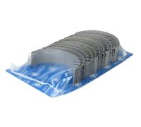 Kit de coussinet de vilebrequin KOLBENSCHMIDT 77864600 pour T 8.9 2005-2019