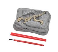 Kit de creusement de dinosaures, kit d'excavation de dinosaures Fossils pour , Stem Educational Science Archéologie Ensemble d'activités avec outils de jeu