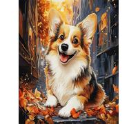 Kit De Crochet Animal Corgi De Dessin Animékits De Crochet De Loquet Diy Ensemble De Tapis À Crochet De Loquet Imprimés Fabrication De Tapis De Tapisserie Diy Pour Adultes Débutants Décora 31x63in