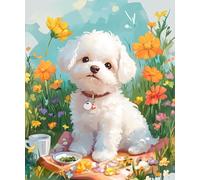 Kit De Crochet Bichon Frisé De Dessin Animékits De Crochet De Loquet Diy Ensemble De Tapis À Crochet De Loquet Imprimés Fabrication De Tapis De Tapisserie Diy Pour Adultes Débutants Décora 21x29in
