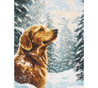 Kit De Crochet Golden Retriever Fantastiquekits De Crochet De Loquet Diy Ensemble De Tapis À Crochet De Loquet Imprimés Fabrication De Tapis De Tapisserie Diy Pour Adultes Débutants Décora 21x29in