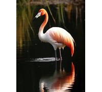 Kit De Crochet Oiseau Animalensemble De Tapis À Loquet Diy Tapis À Nouage Kit De Point De Croix Pour Débutants Et Adultes Kits D'Outils De Fabrication De Tapisserie Coussin De Broderie 23x35in