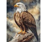 Kit De Crochet Portrait D'Aigle Kit De Broderie À Nouer Soi-Même Fait À La Main,Kits De Tapisserie Diy Pour Coussins Adultes,Grand Tapis À Crochet De Loquet,Motif Pré-Imprimé,Broderie 35x46in