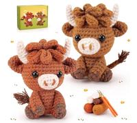Kit de Crochet pour Débutants et Adultes avec Instructions (Français non Garanti) - Set Complet de Démarrage