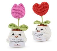 Kit de Crochet pour Débutants, Kit de Crochet Tulipe en Forme de Cœur, Ensemble de Démarrage Amigurumi - Ensemble Complet de Démarrage Amigurumi avec Tutoriels Vidéo - Cadeau pour Enfants