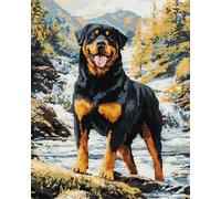 Kit De Crochet Rottweiler Animal Et Paysagekits De Crochet De Loquet Diy Ensemble De Tapis À Crochet De Loquet Imprimés Fabrication De Tapis De Tapisserie Diy Pour Adultes Débutants Décora 23x35in