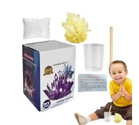 Kit de croissance du cristal - 80 g - Kit de fabrication de cristaux - Expérience de cristaux - Jouet de projet STEM - Jouet éducatif pour les enfants et les filles à partir de 8 ans
