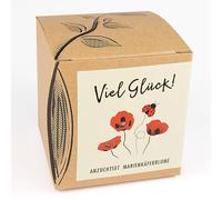 Kit de culture cadeau CŒUR-DE-MARIE avec graines de pavot de coccinelle, une idée cadeau porte-bonheur de NATUR KRAFTWERK