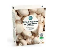 Radis et Capucine - Kit de culture - Champignons de Paris Blanc - 7,5L