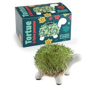 Kit de culture cresson tortue