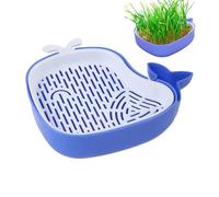 Kit de Culture d' à Chat - Pot d' à Chat en Forme de Baleine | Plateaux de Jardinage d'intérieur à Plusieurs Niveaux, boîte de Plantation Creuse, Plateau de Germination de Terre